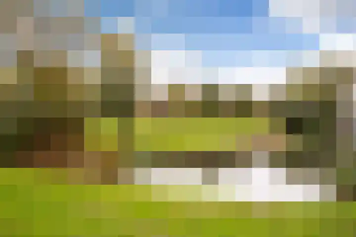 Schoenlappervlinder 36 Utrecht thumbnail 31