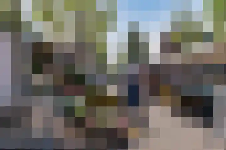 Schoenlappervlinder 36 Utrecht thumbnail 32
