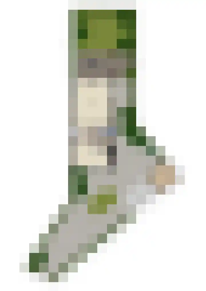 Schoenlappervlinder 36 Utrecht thumbnail 35