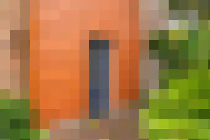 Schoenlappervlinder 36 Utrecht thumbnail 4