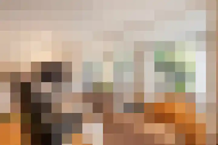 Schoenlappervlinder 36 Utrecht thumbnail 6