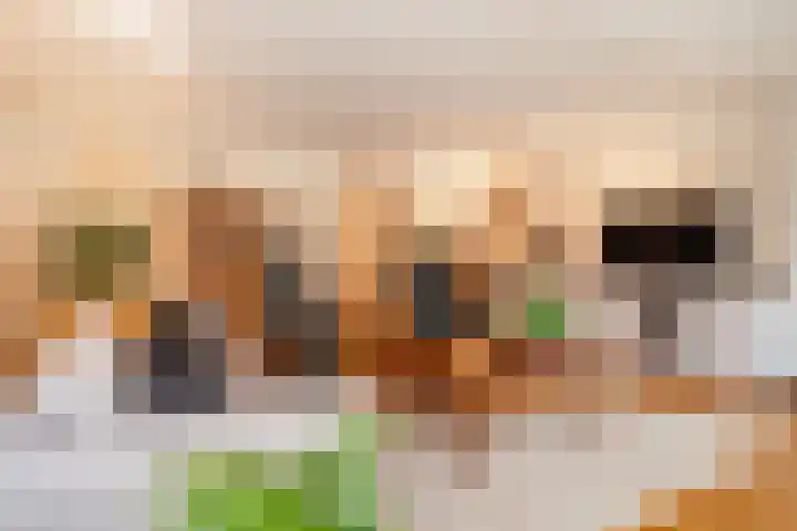 Schoenlappervlinder 36 Utrecht thumbnail 7