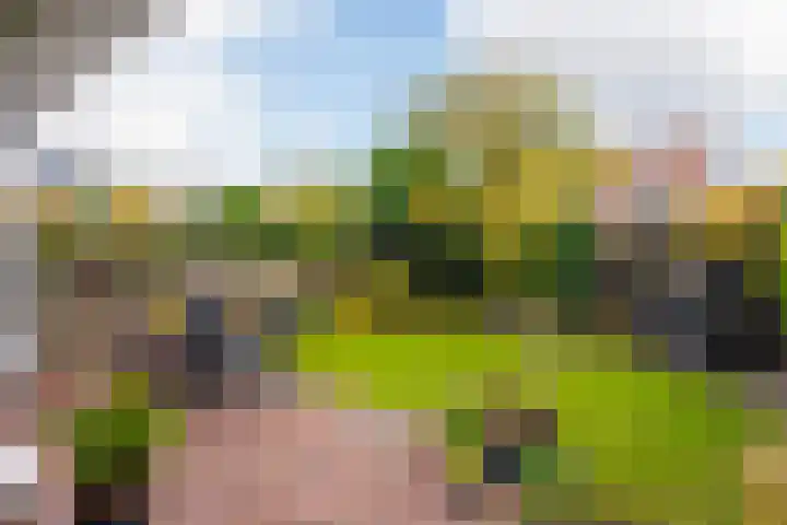 Schoenlappervlinder 36 Utrecht thumbnail 8