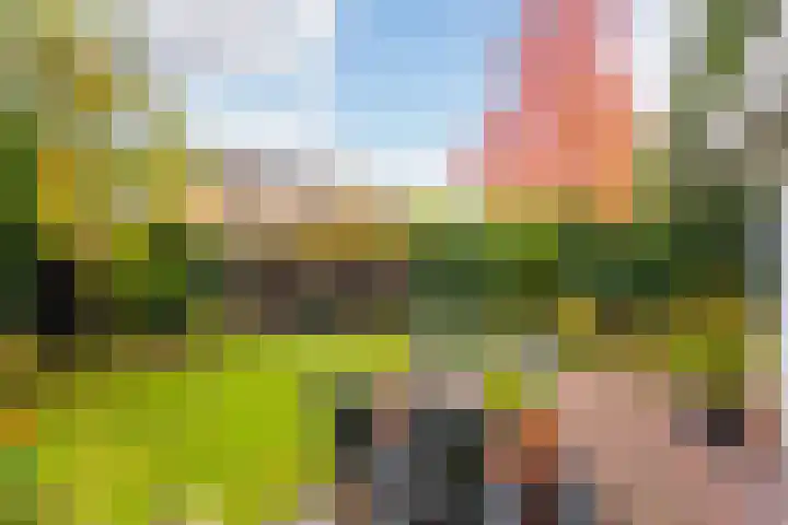 Schoenlappervlinder 36 Utrecht thumbnail 9