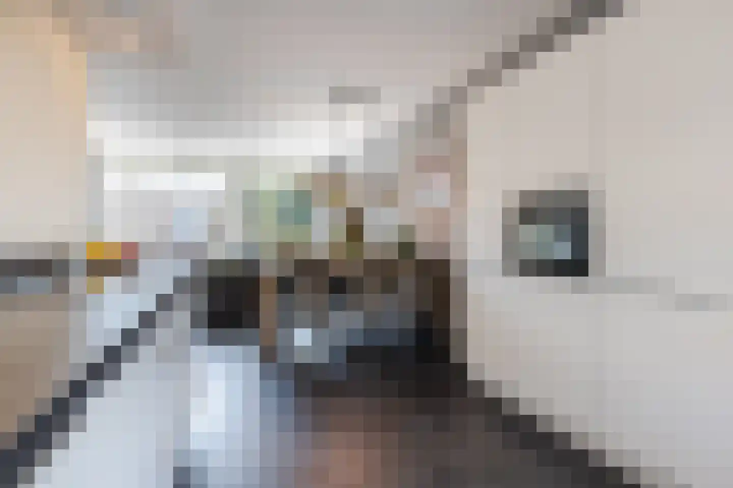 Schoenmaker 1 Hilvarenbeek thumbnail 10