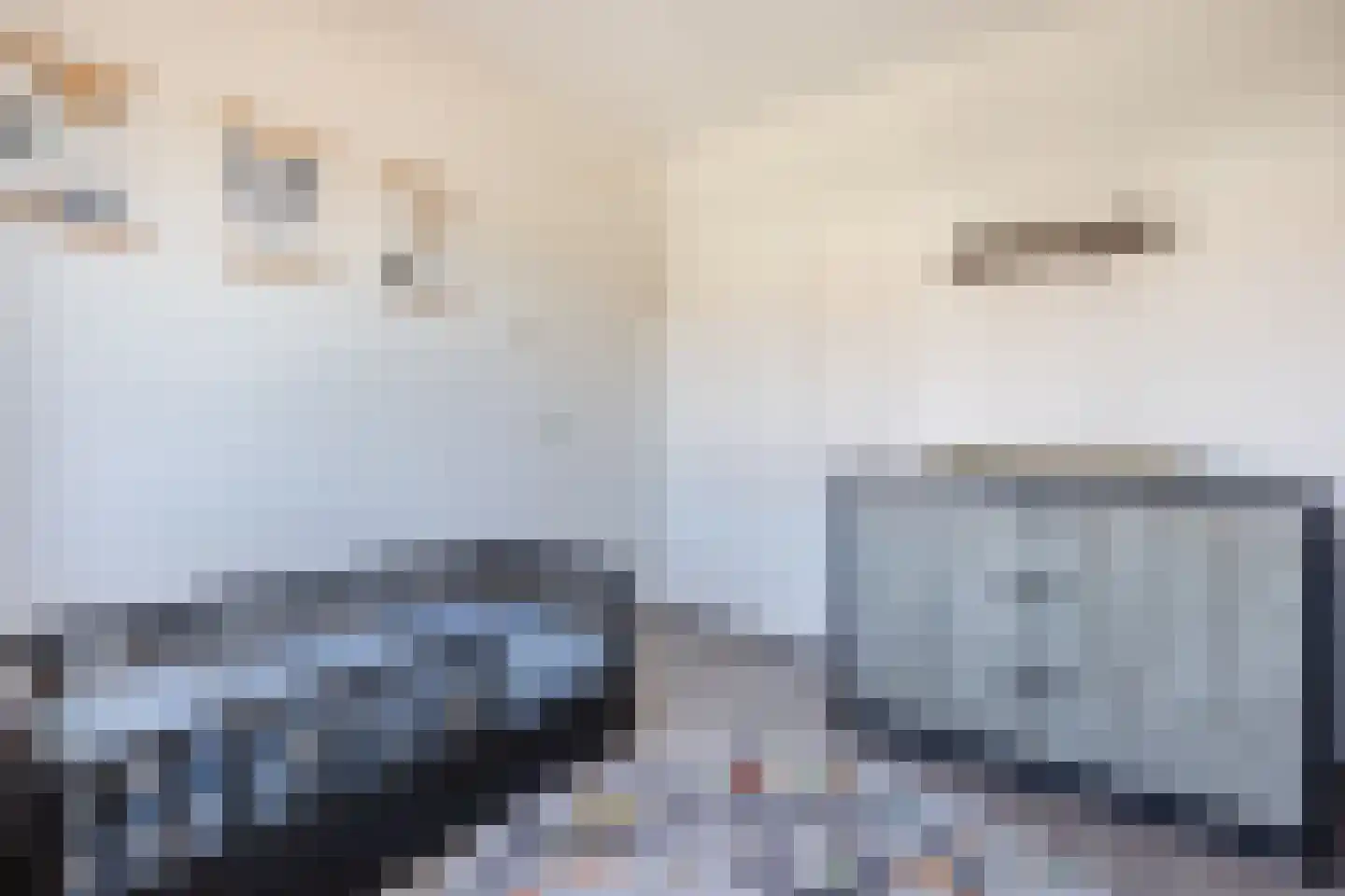 Schoenmaker 1 Hilvarenbeek thumbnail 22