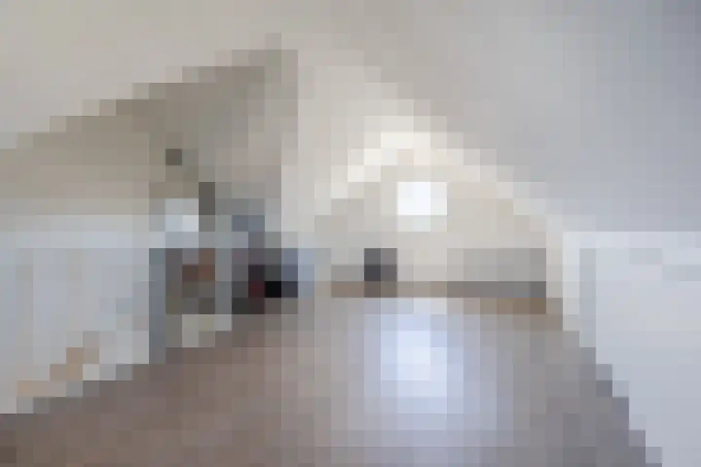 Schoenmaker 1 Hilvarenbeek thumbnail 32