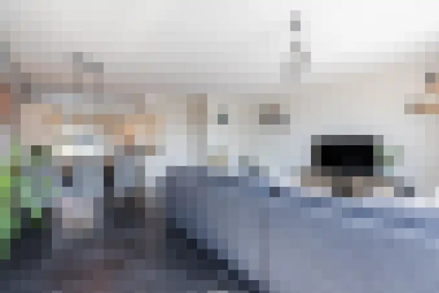 Schoenmaker 1 Hilvarenbeek thumbnail 5