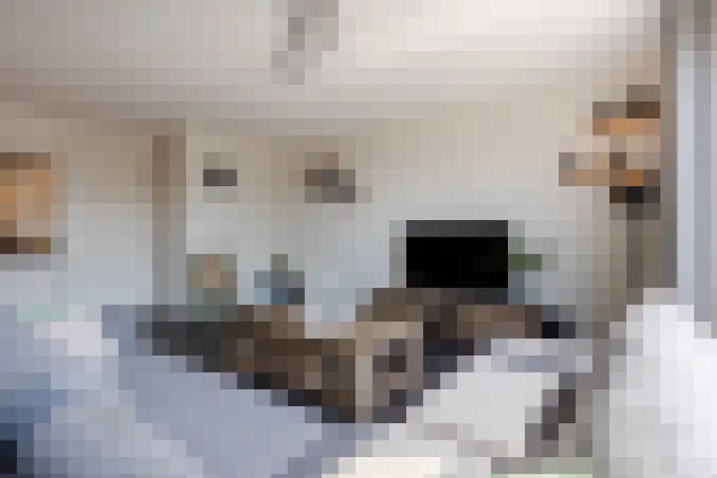 Schoenmaker 1 Hilvarenbeek thumbnail 6
