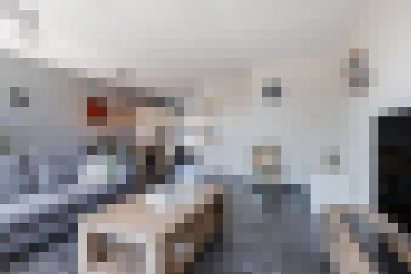 Schoenmaker 1 Hilvarenbeek thumbnail 7