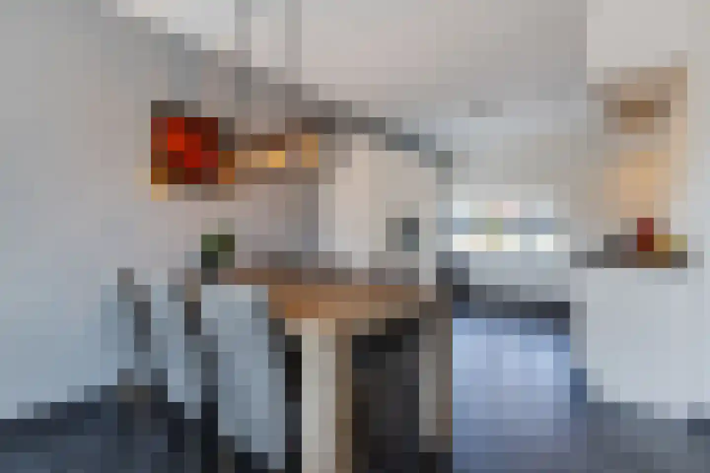 Schoenmaker 1 Hilvarenbeek thumbnail 8