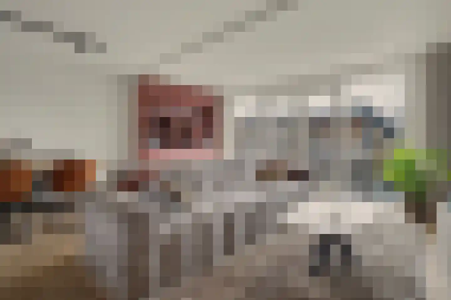 Schoenmaker 11 Hilvarenbeek thumbnail 10