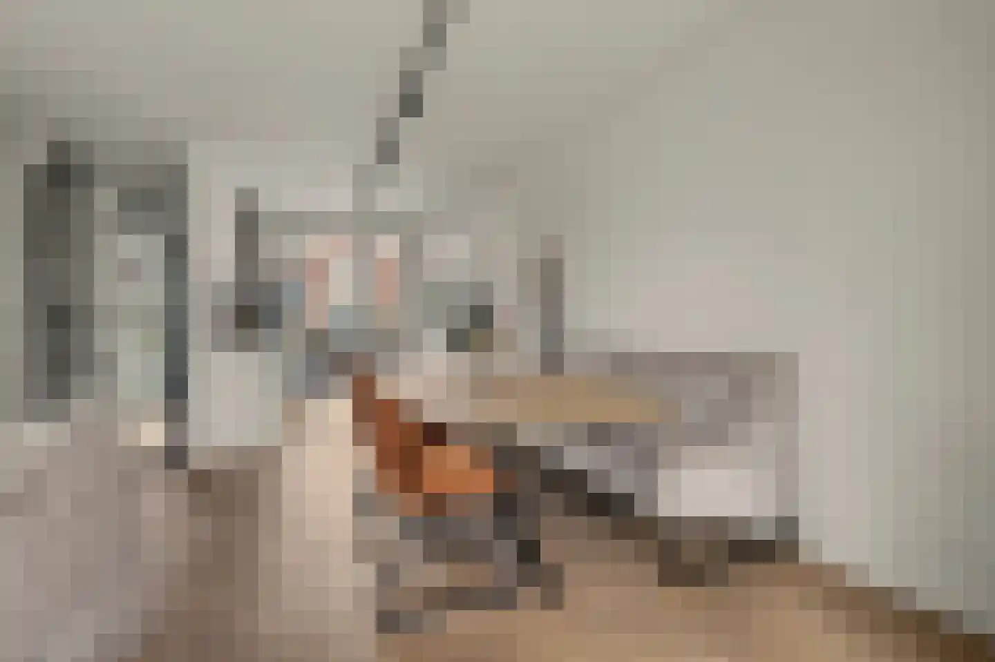 Schoenmaker 11 Hilvarenbeek thumbnail 13