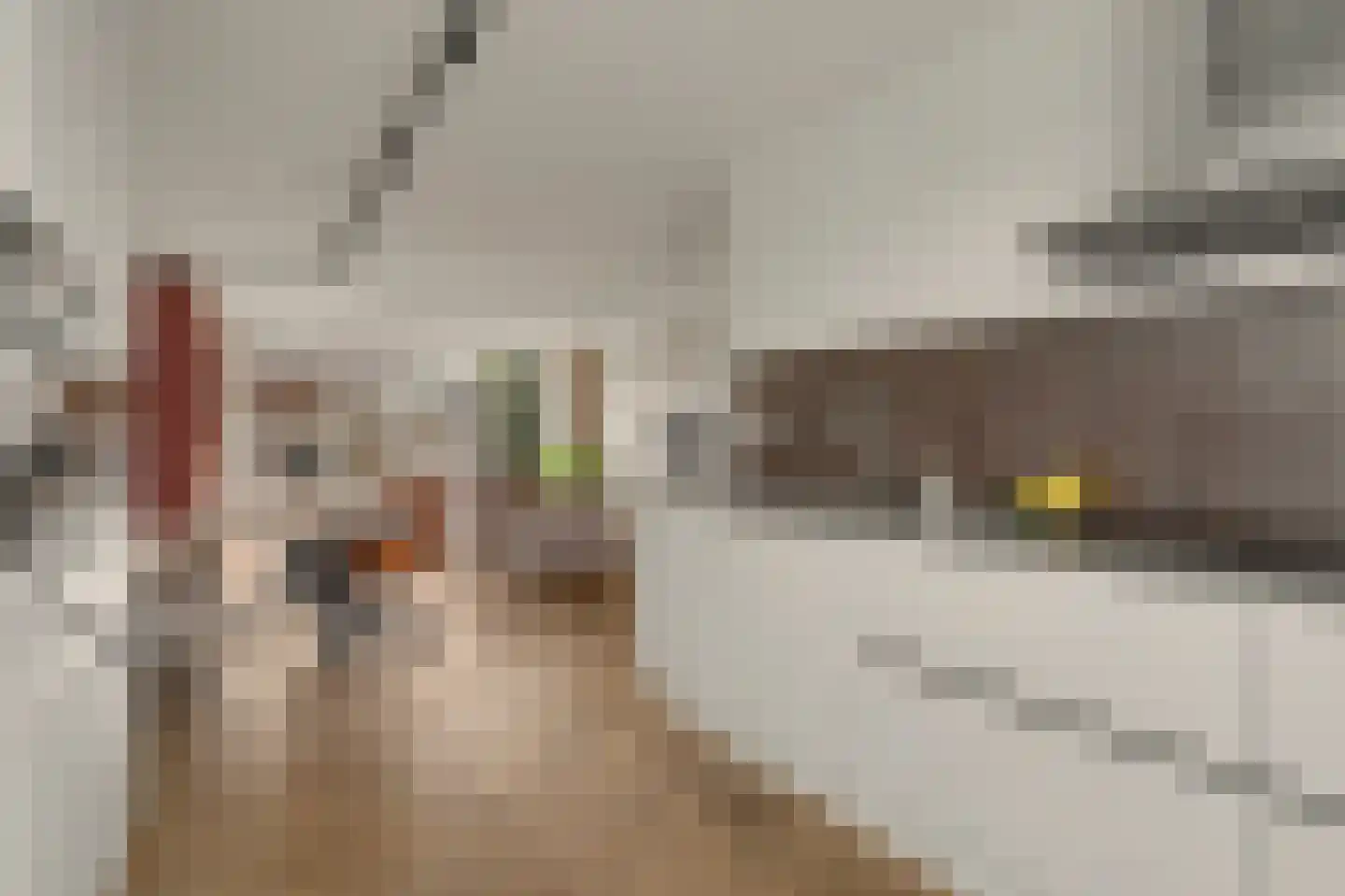 Schoenmaker 11 Hilvarenbeek thumbnail 16