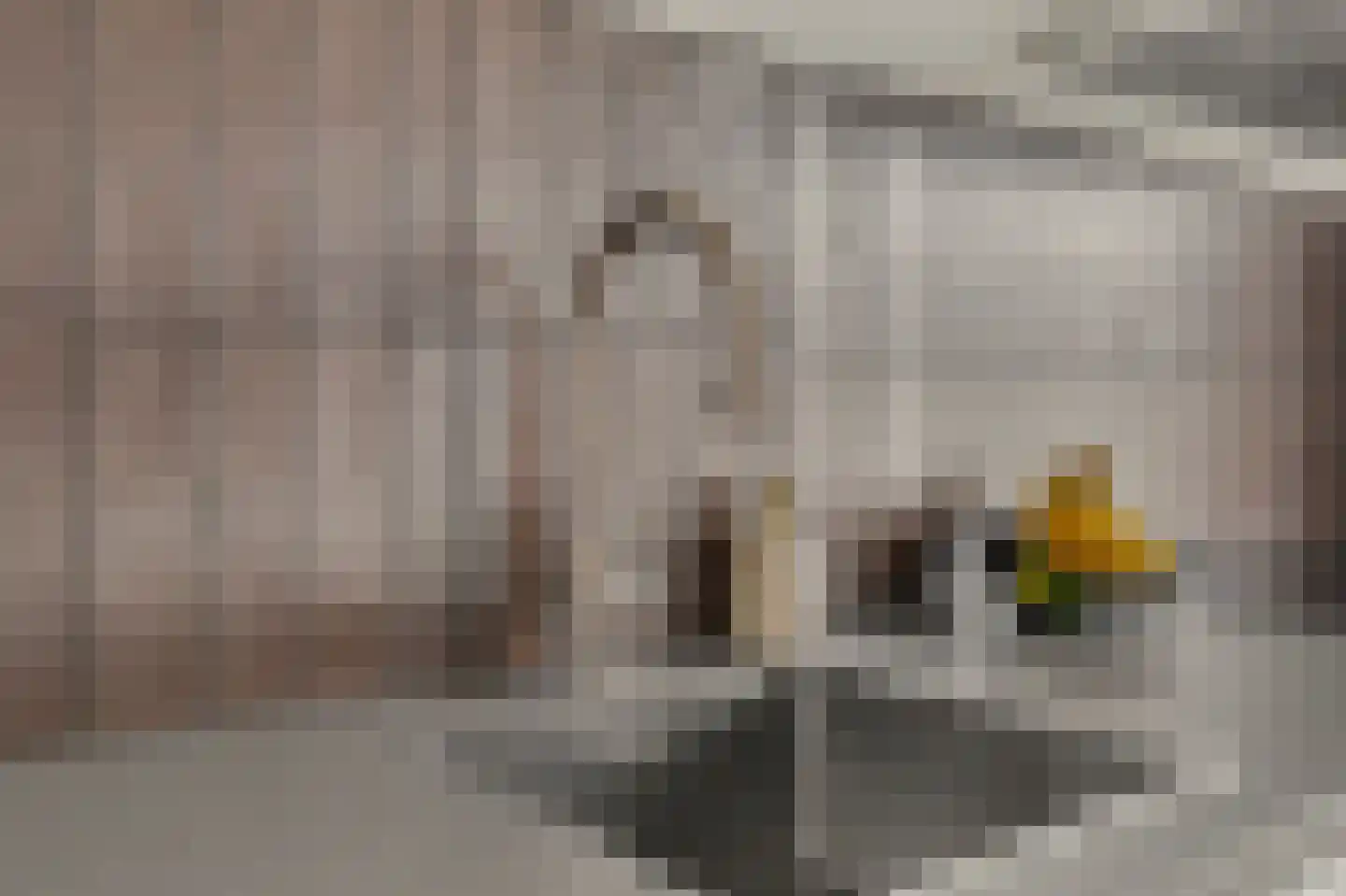 Schoenmaker 11 Hilvarenbeek thumbnail 17