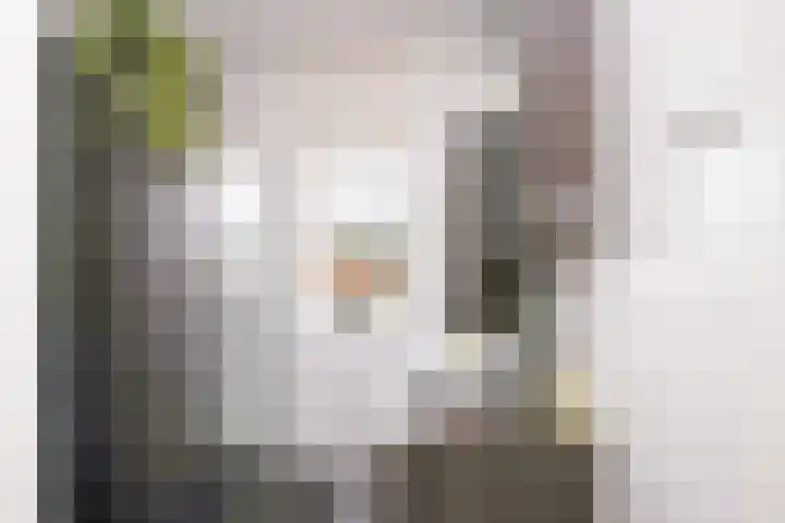 Schoenmaker 19 Hilvarenbeek thumbnail 13