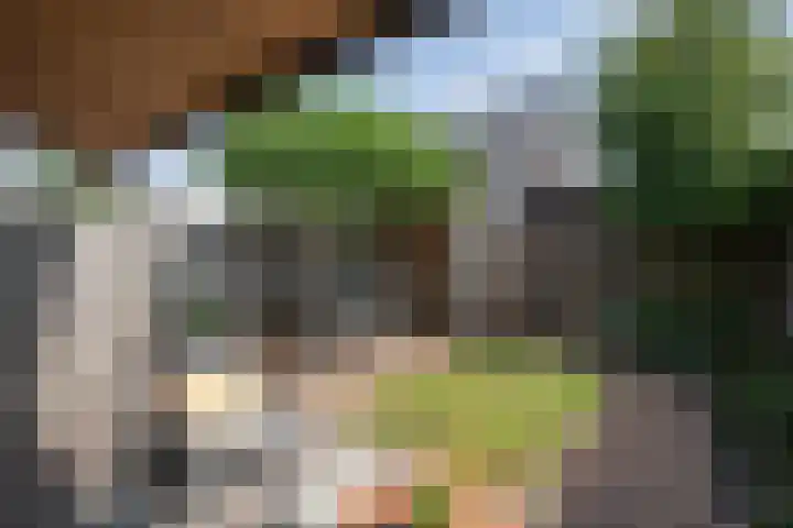 Schoenmaker 19 Hilvarenbeek thumbnail 16