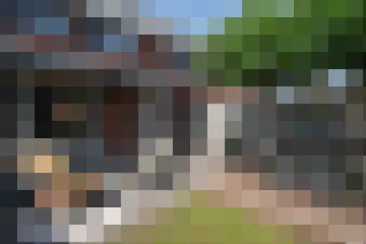 Schoenmaker 19 Hilvarenbeek thumbnail 17