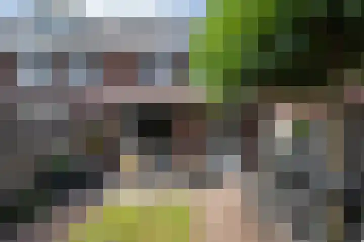Schoenmaker 19 Hilvarenbeek thumbnail 18