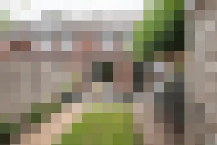 Schoenmaker 19 Hilvarenbeek thumbnail 19