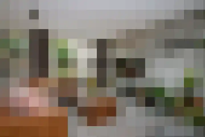 Schoenmaker 19 Hilvarenbeek thumbnail 4