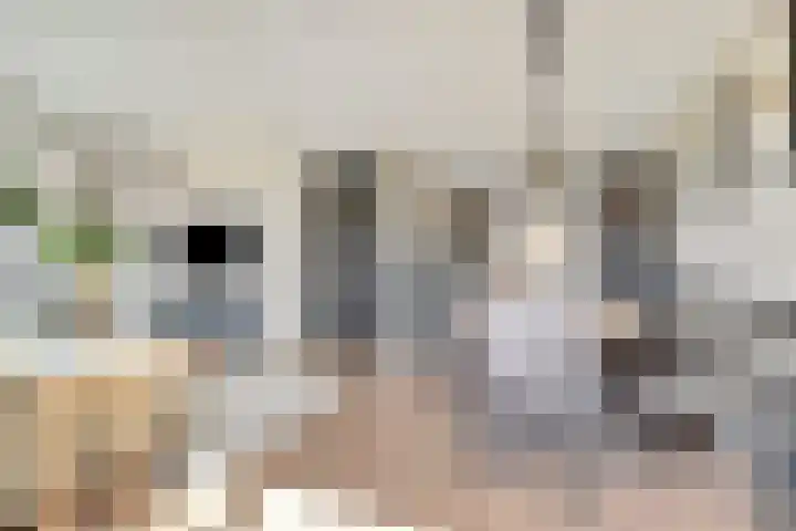 Schoenmaker 7 Hilvarenbeek thumbnail 10