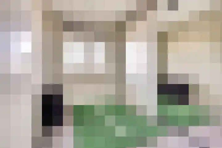 Schoenmaker 7 Hilvarenbeek thumbnail 19