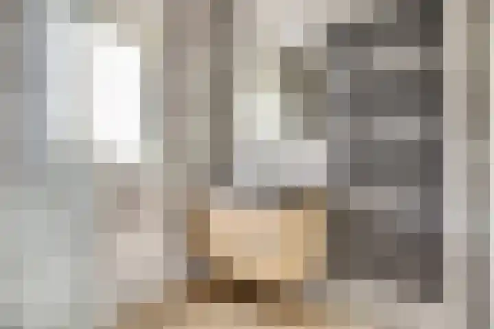 Schoenmaker 7 Hilvarenbeek thumbnail 24