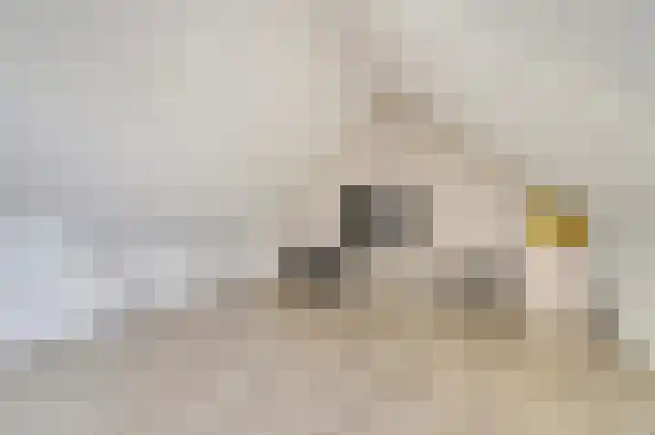 Schoenmaker 7 Hilvarenbeek thumbnail 27