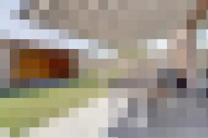 Schoenmaker 7 Hilvarenbeek thumbnail 30