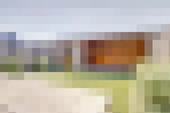 Schoenmaker 7 Hilvarenbeek thumbnail 32