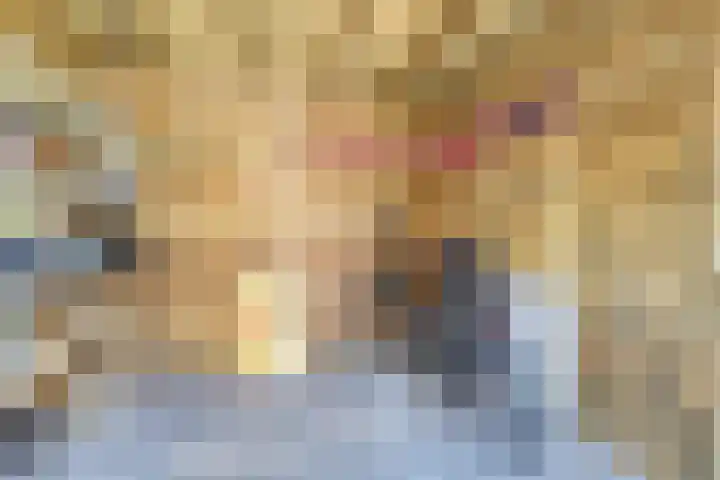Schoenmaker 7 Hilvarenbeek thumbnail 34