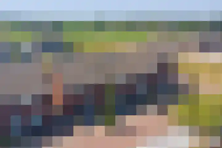Schoenmaker 7 Hilvarenbeek thumbnail 37