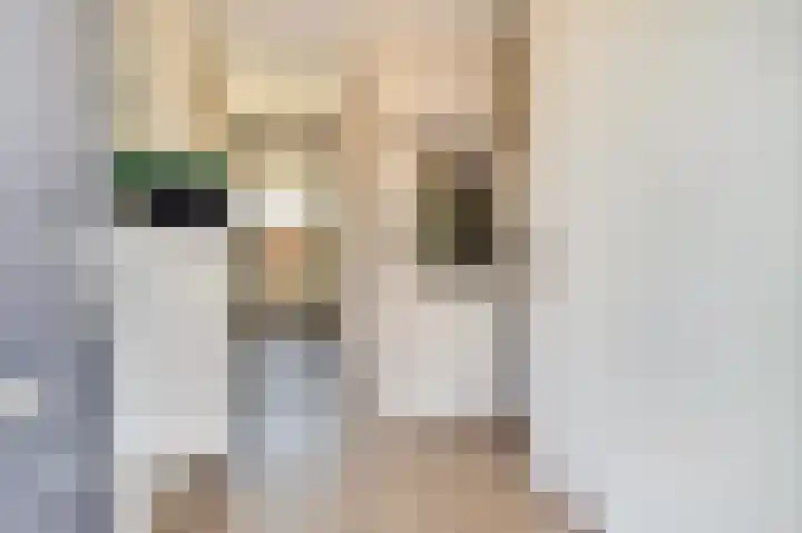 Schoenmaker 7 Hilvarenbeek thumbnail 4