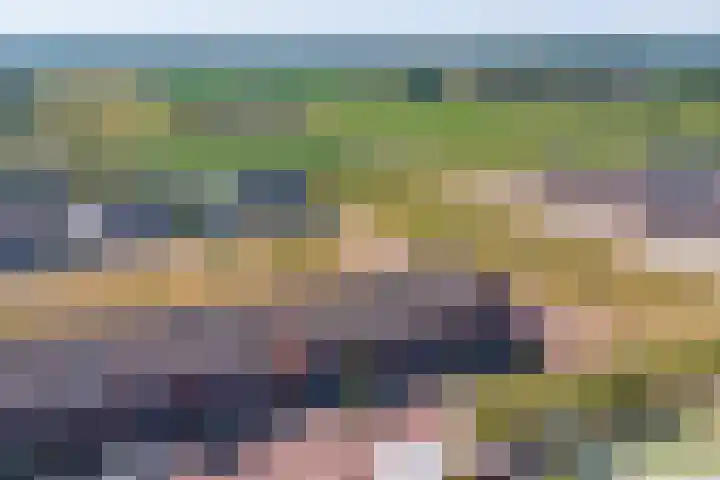 Schoenmaker 7 Hilvarenbeek thumbnail 40