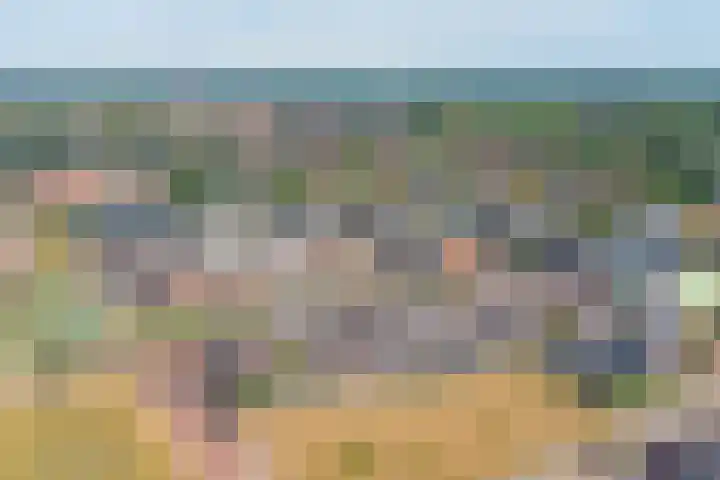 Schoenmaker 7 Hilvarenbeek thumbnail 41