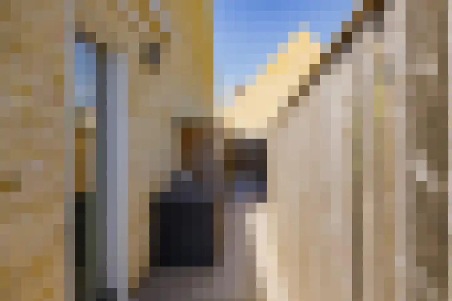 Schoenmakerscroft 11 Velserbroek thumbnail 36