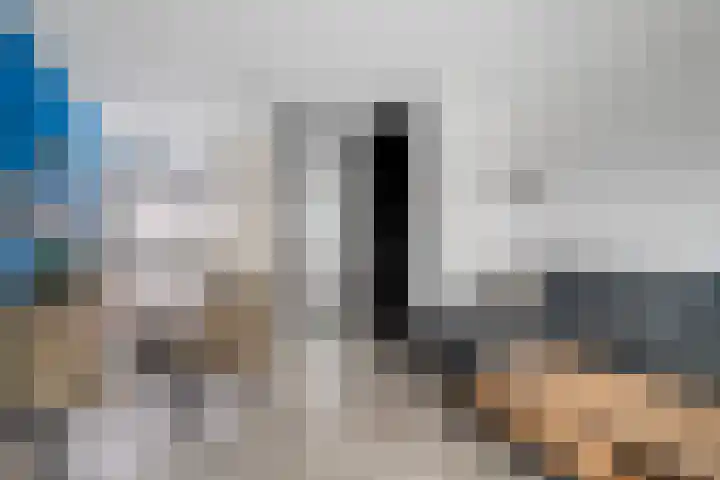 Schoenmakersgilde 12 Dronten thumbnail 10