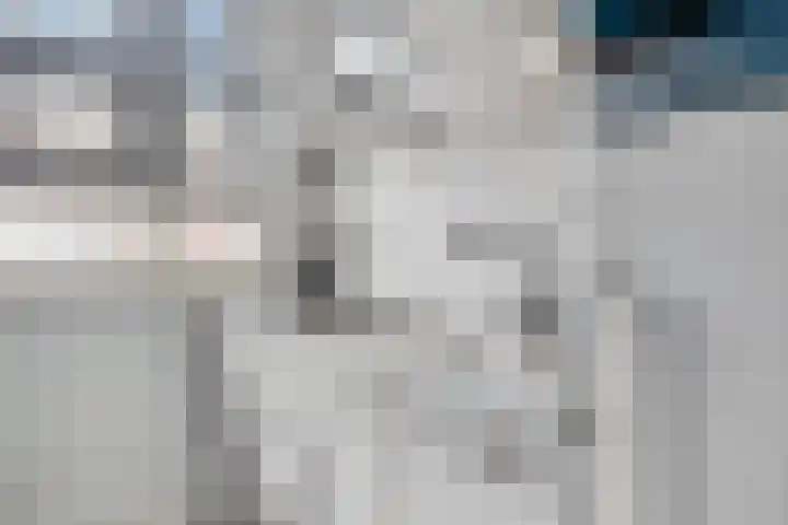 Schoenmakersgilde 12 Dronten thumbnail 12