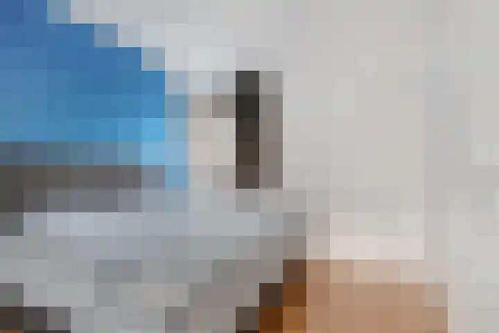 Schoenmakersgilde 12 Dronten thumbnail 16