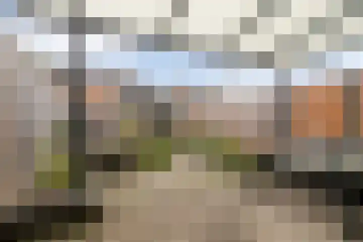 Schoenmakersgilde 12 Dronten thumbnail 22