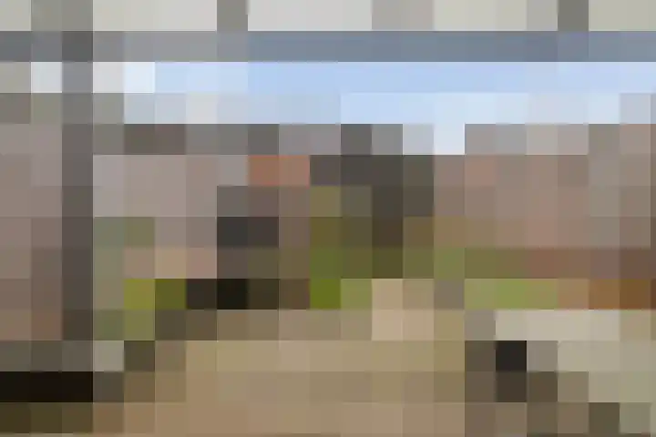 Schoenmakersgilde 12 Dronten thumbnail 23