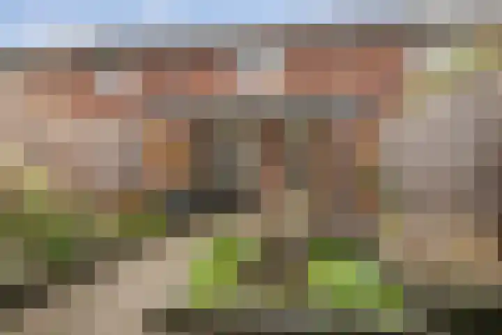 Schoenmakersgilde 12 Dronten thumbnail 24