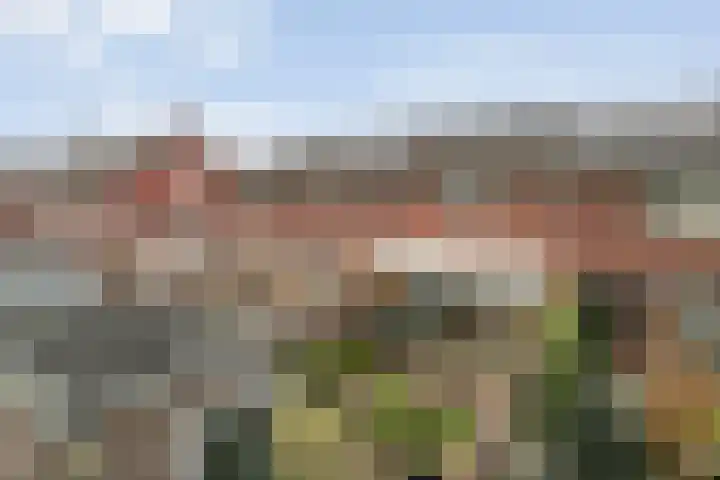 Schoenmakersgilde 12 Dronten thumbnail 26