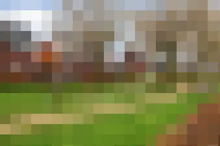 Schoenmakersgilde 12 Dronten thumbnail 31