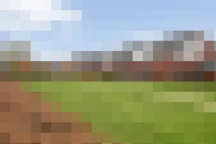 Schoenmakersgilde 12 Dronten thumbnail 32