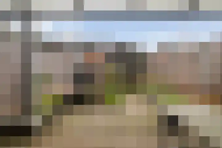 Schoenmakersgilde 12 Dronten thumbnail 4