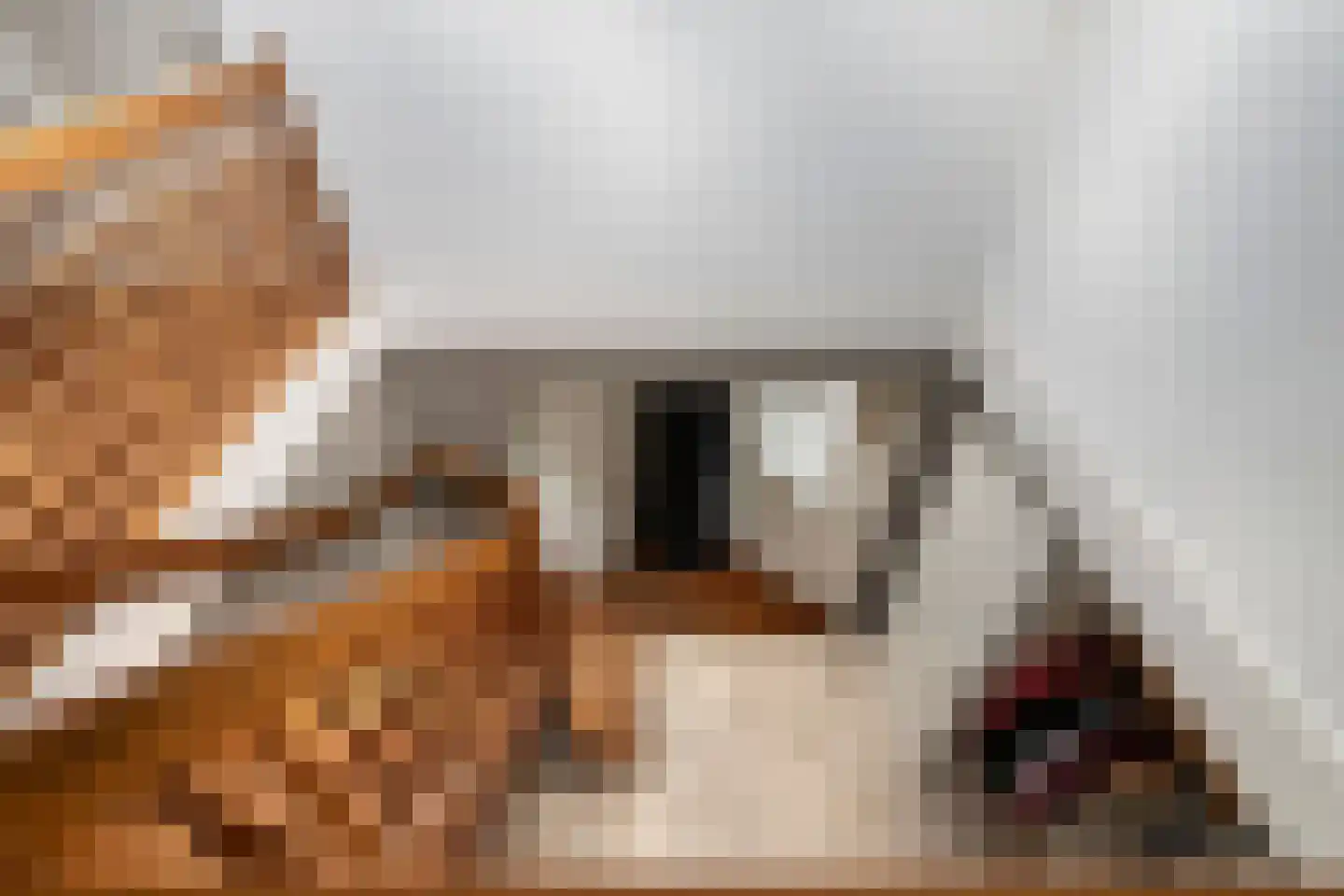 Schoenmakersgilde 37 Dronten thumbnail 24