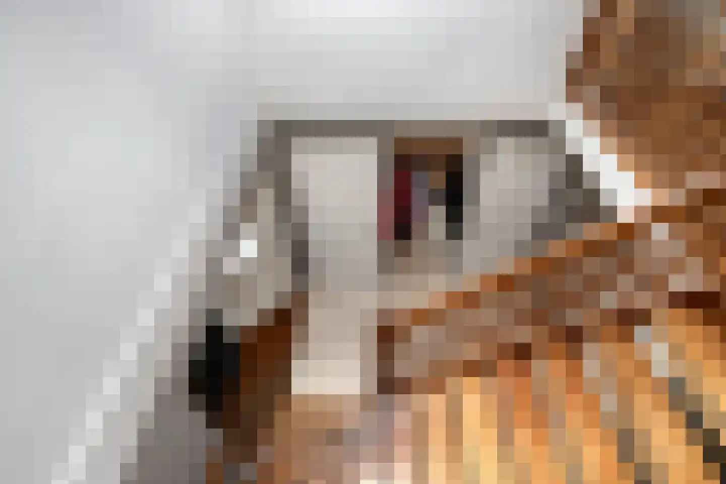 Schoenmakersgilde 37 Dronten thumbnail 25