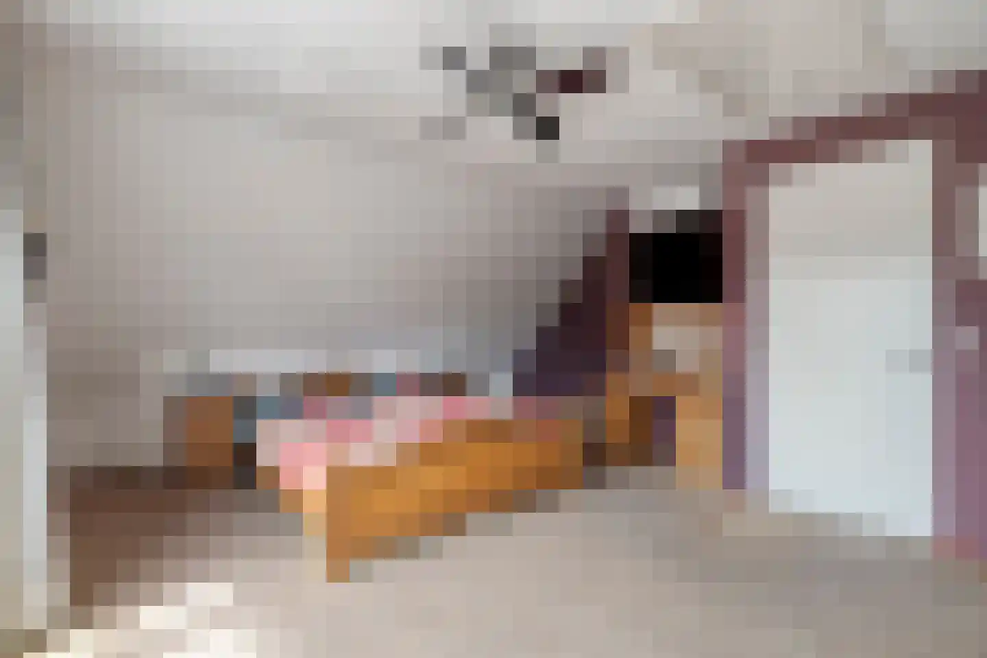 Schoenmakersgilde 37 Dronten thumbnail 28